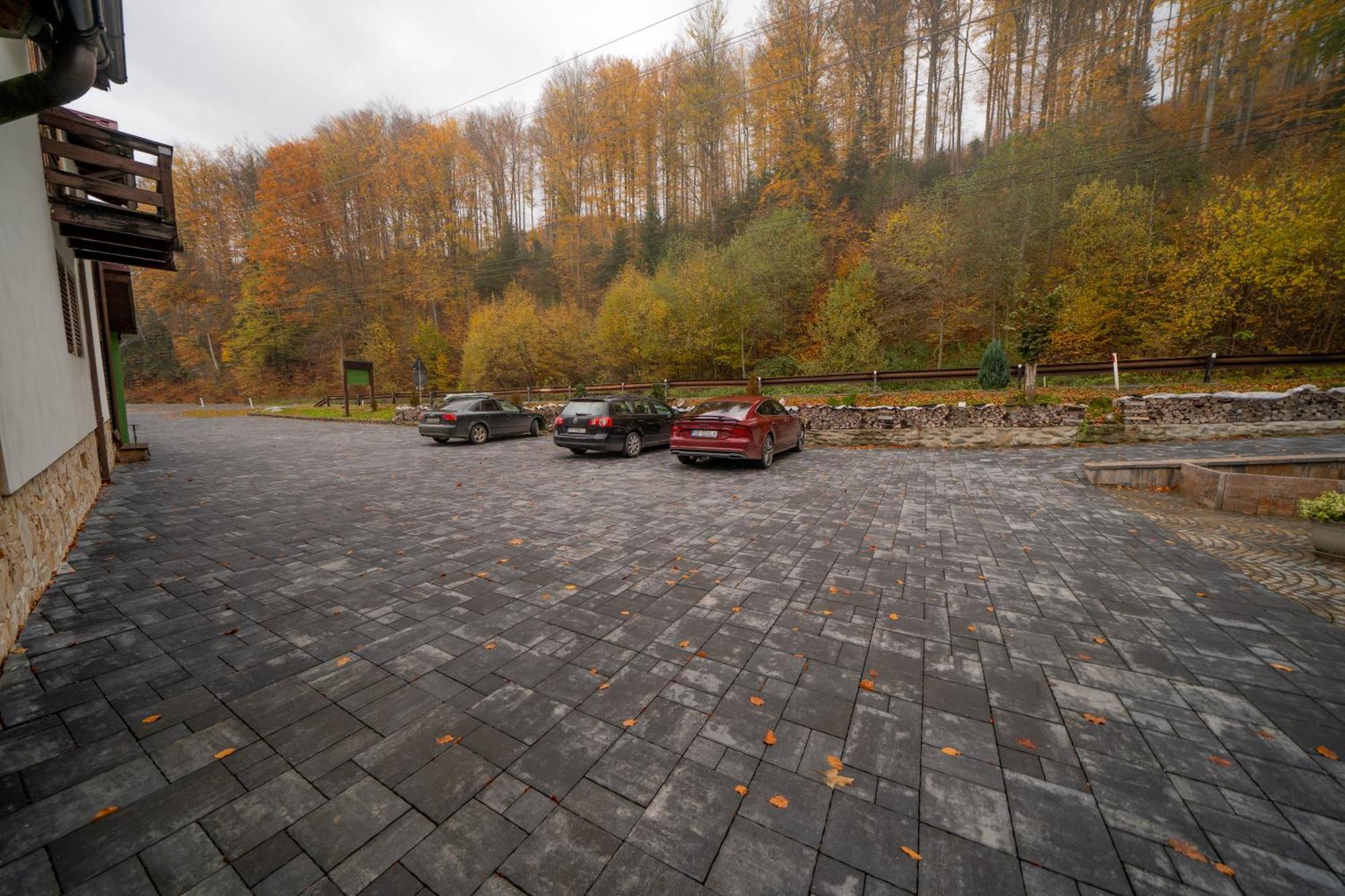 Popas Turistic Transfagarasan Hotel Cartisoara Luaran gambar